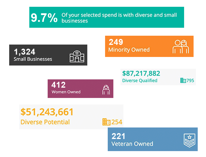 Vendor Diversity Data Image for supplier diversity reporting